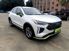 Haval Chitu Jingxiang Edition 1.5T Purple Copper Rabbit - фото 3