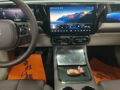 Leapmotor C11 Performance Edition - ფოტო 12