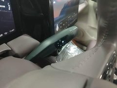 Leapmotor C11 Performance Edition - ფოტო 13