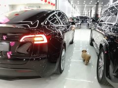 Tesla Model Y Facelift Rear-Wheel Drive - photo 7