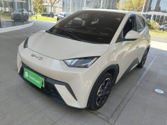 BYD Seagull Flying Edition - ფოტო 1