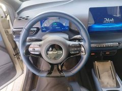 BYD Seagull Flying Edition - ფოტო 10
