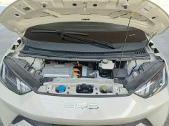 BYD Seagull Flying Edition - ფოტო 19