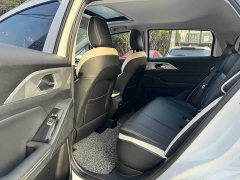 Geely Geometry E Firefly 401KM Thunder Tiger 4-Seater - ფოტო 10