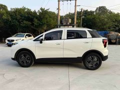 Geely Geometry E Firefly 401KM Thunder Tiger 4-Seater - ფოტო 6