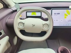 Nio Firefly Luminous Edition - ფოტო 15