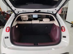 Nio Firefly Luminous Edition - ფოტო 4