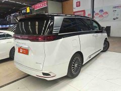 Denza D9 DM-i 970 AWD Premium Edition - ფოტო 3