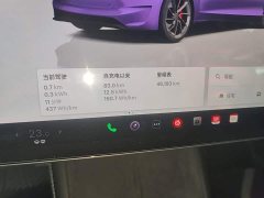Tesla Model 3 High Performance All-Wheel Drive - ფოტო 11