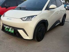 BYD Seagull 305km Vitality Edition - ფოტო 1