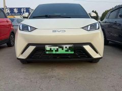 BYD Seagull 305km Vitality Edition - ფოტო 2