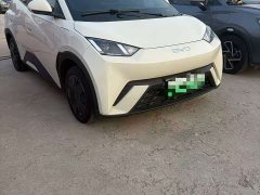 BYD Seagull 305km Vitality Edition - ფოტო 3