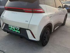 BYD Seagull 305km Vitality Edition - ფოტო 5