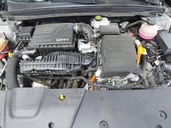 BYD Destroyer 05 Glory Edition DM-i 55KM Luxury - фото 19