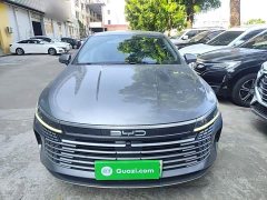 BYD Destroyer 05 Glory Edition DM-i 55KM Luxury - фото 2