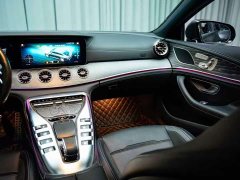 Mercedes-Benz AMG GT AMG GT 50 4MATIC Four-Door Coupe - photo 11