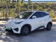BYD Seagull Smart Drive 305km Vitality Edition - photo 1