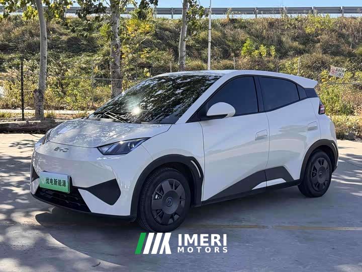 BYD Seagull Smart Drive 305km Vitality Edition