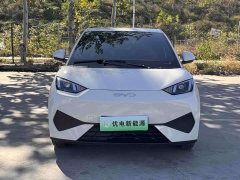 BYD Seagull Smart Drive 305km Vitality Edition - photo 2