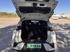 BYD Seagull Smart Drive 305km Vitality Edition - photo 5
