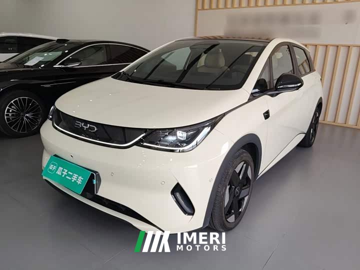 BYD Dolphin Smart Driving Edition 520km Knight Edition - автомобиль из Китая