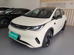 BYD Dolphin Smart Driving Edition 520km Knight Edition - фото 1