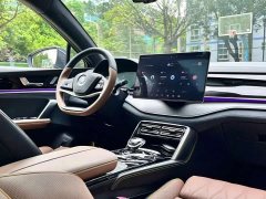 BYD Tang New Energy DM-i 112KM Premium Edition - photo 6