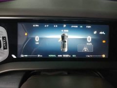 Denza D9 DM-i 970 AWD Flagship - ფოტო 11