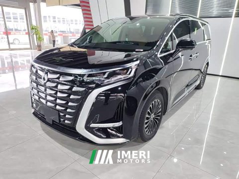 2024 Denza D9 DM-i 980 AWD Luxury - car from China
