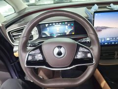 Denza D9 DM-i 980 AWD Luxury - ფოტო 10