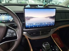 Denza D9 DM-i 980 AWD Luxury - ფოტო 12