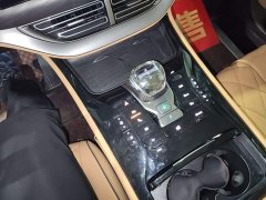 Denza D9 DM-i 980 AWD Luxury - ფოტო 13
