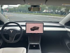 Tesla Model 3 Rear-Wheel Drive - фото 8