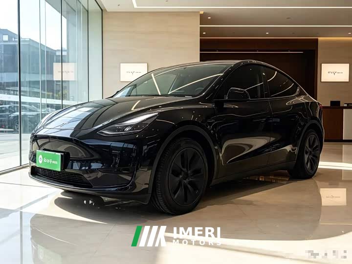 Tesla Model Y Rear-Wheel Drive