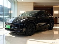 Tesla Model Y Rear-Wheel Drive - photo 1