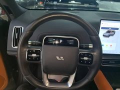 Li Auto L9 Max - ფოტო 10