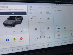 Li Auto L9 Max - ფოტო 11