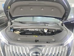 GAC Aion M8 Master Series 400T Prestige Edition - photo 19