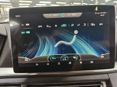 BYD Song Pro New Energy DM 1.5T AWD Performance Luxury Edition - photo 12
