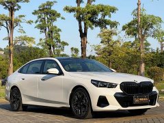 BMW 5 Series 530Li Luxury M Sport Package - photo 3