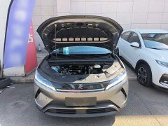 BYD Yuan UP Smart Drive 401KM Vitality Edition - photo 19