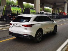 Haval Xiaolong MAX 1.5L Hi4 105 AWD Smart Flagship Edition - фото 7