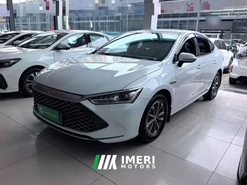2024 BYD Qin PLUS Glory Edition DM-i 55KM Leading
