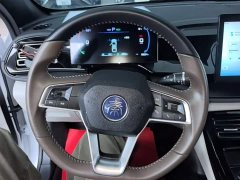 BYD Qin PLUS Glory Edition DM-i 55KM Leading - photo 10