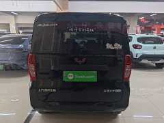 Wuling Zhiguang New Energy 305km Aspiring Edition - photo 5