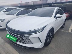 BYD Destroyer 05 Glory Edition DM-i 55KM Luxury - фото 1