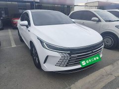 BYD Destroyer 05 Glory Edition DM-i 55KM Luxury - фото 3