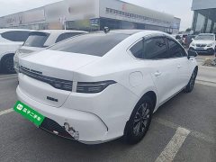 BYD Destroyer 05 Glory Edition DM-i 55KM Luxury - фото 6