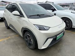 BYD Seagull Freedom Edition - фото 3