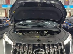 GAC Aion M8 Master Series 400T Premium Edition - ფოტო 19
